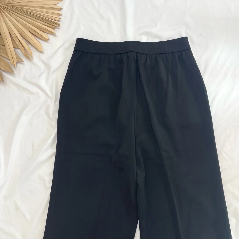 Quince Stretch Crepe Black Classic Wide Leg Trousers Business Pleated Pants 14